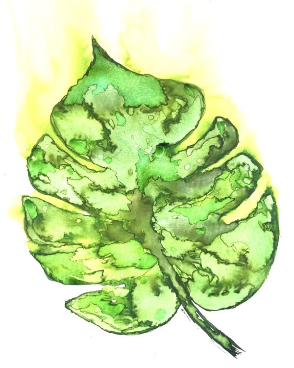 Private Group Mindful Watercolour Retreats - Image 6