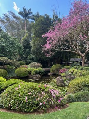 2hr Watercolour Workshop @ Mt Coot-tha Botanic Gardens - Friday 10 October