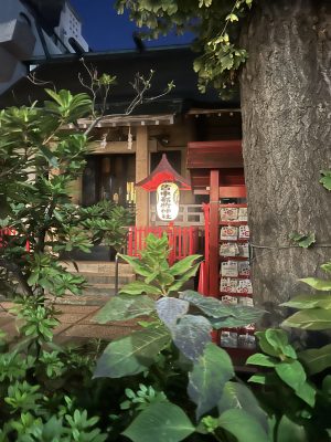 SOLD OUT - 7 Day Kyoto Watercolour Retreat - Nov 2026